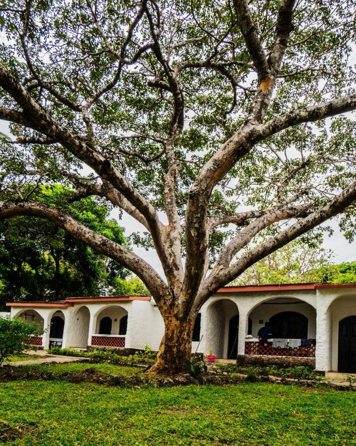 Diani Sea Lodge Diani Beach Exterior photo