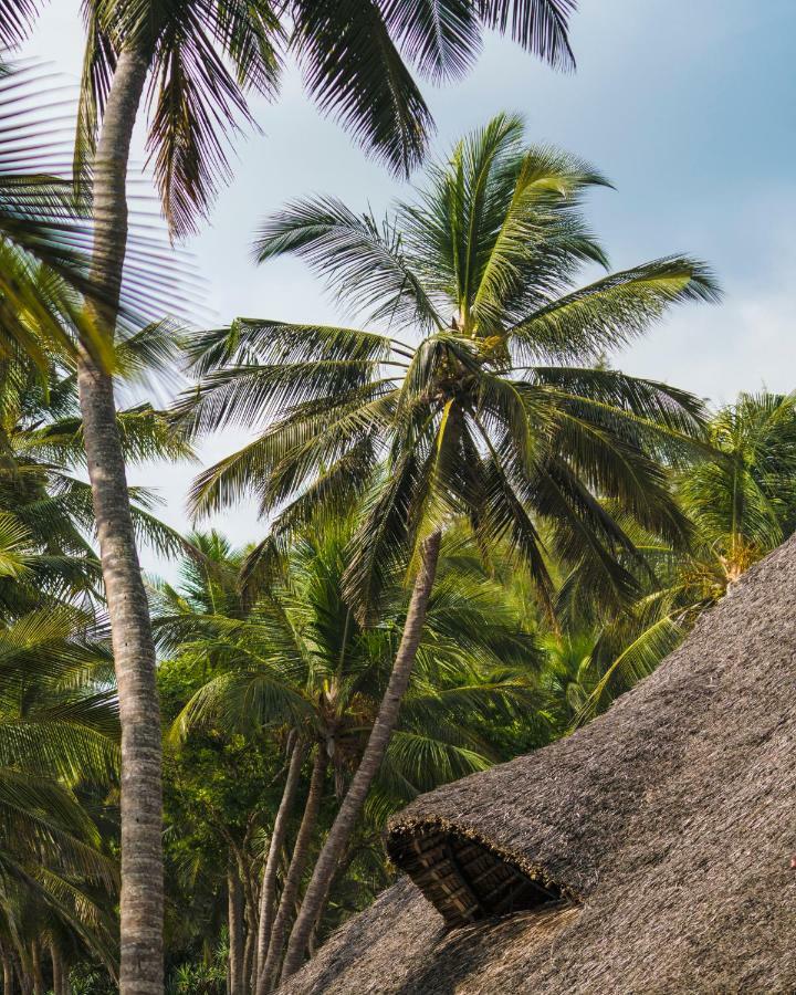 Diani Sea Lodge Diani Beach Exterior photo
